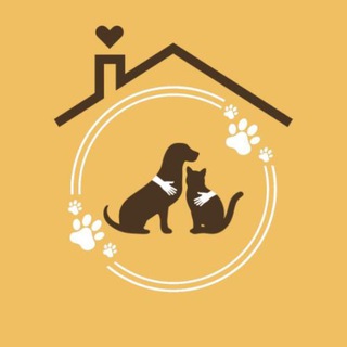 Дом Замечательных Животных