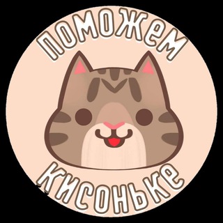 "Поможем кисоньке" Приют для котиков СПБ
