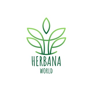 🌿 Herbana.World | Справочник Лекарственных трав и растений