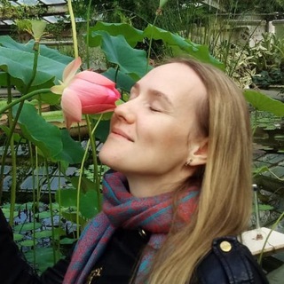 Травы и мечты