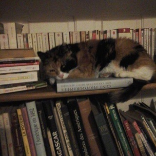 Гермиона Аддамс🍄