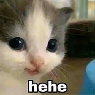 😂МЕМЫ | СМЕШНЫЕ ВИДЕО | REELS😂