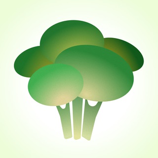 Клетчатка пати: здоровье и осознанное питание