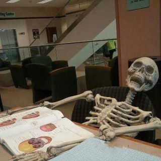 °химбио мемы°