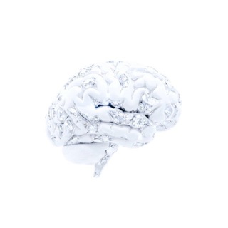 AIN EDUCATION | Consciousness Hack&Tech