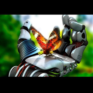 От Колеса до Квантов