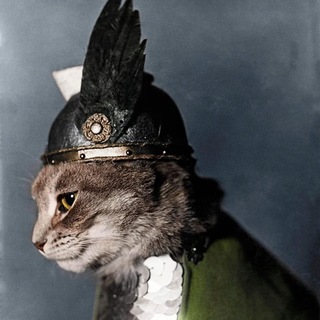 Цветная История