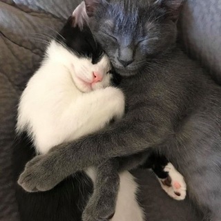 yuko’s house | интерактивы и бинго