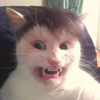 мысли рыжего