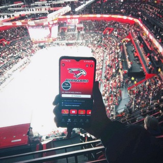 ХОККЕЙНЫЕ СТВОЛЫ 🪿