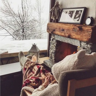 Comfort with WildBerries | Ozon 🌳