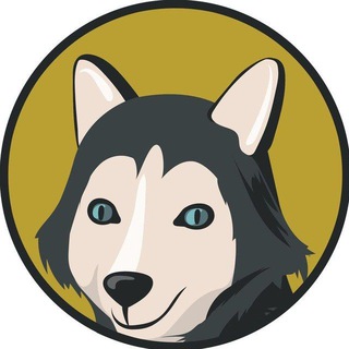 Honshu Inu 🐺 USA 🇺🇸