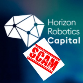 Horizon Robotics Сapital