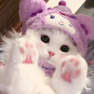 Сеть каналов Horny Inside | Каталог