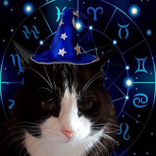 Гороскопчик ✨