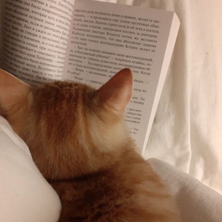 хорошие книжки