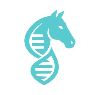 Масти лошадей | Породы лошадей