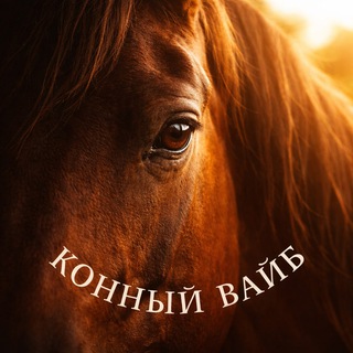 Конный вайб это -