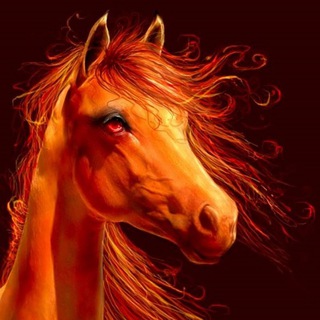 Перевозка лошадей