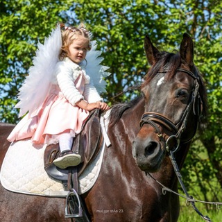 Конный Клуб Horse Travel 1