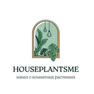 𝑯𝒐𝒖𝒔𝒆𝒑𝒍𝒂𝒏𝒕𝒔𝒎𝒆 | Комнатные растения
