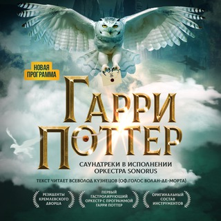 Гарри Поттер. Оркестр Sonorus