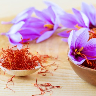 Шафрановые Нити / Литературно-философский дайджест