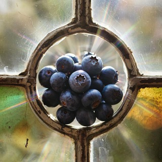 Хроники Духов