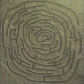 ¡ρεrcέρtίợ se•