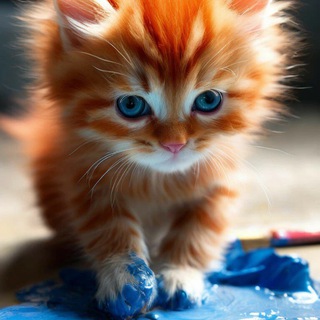 Я художник, я так вижу ☝🏻