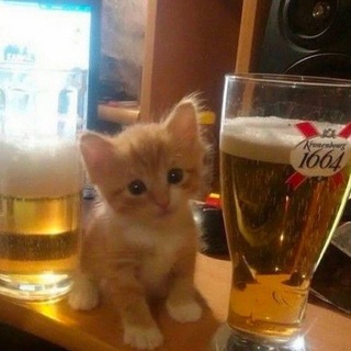 Леопрадик43