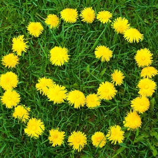 Юмор здорового человека 😊