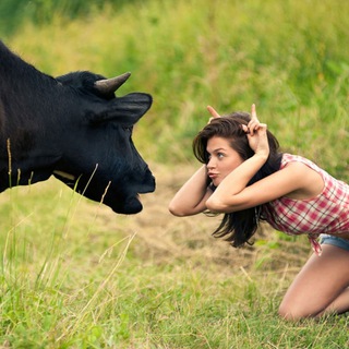 Юмор U Krali Soni