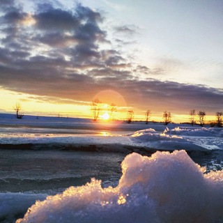 ОХОТА В РОССИИ 🇷🇺