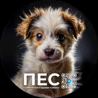 ПЕС | Правильная ездовая собака