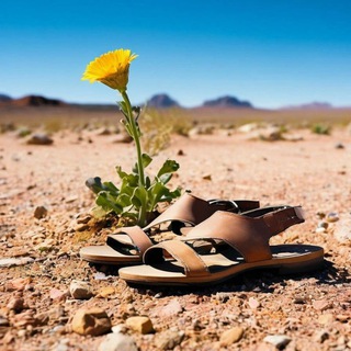 Хуситский тапок