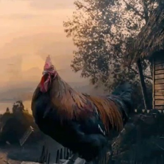 "Хуторок.ру" в Макеихе. Рузский район.