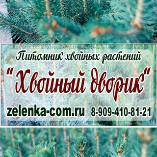 Хвойный дворик 🌲🌲🌲