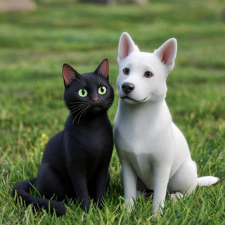 Хвосты и лапы. Новороссийск