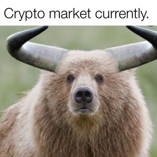 SOL and Web3 updates