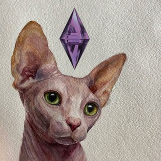 читающий sim & hyungwonita