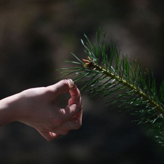 и ви́де, яко добро