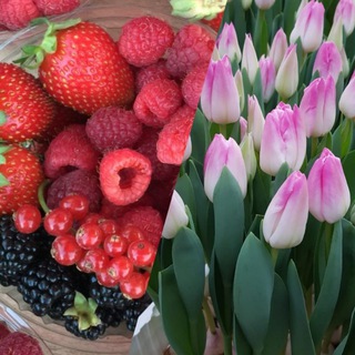 Огород обо всем