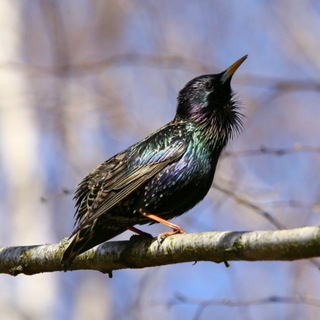 Влюбленная в природу