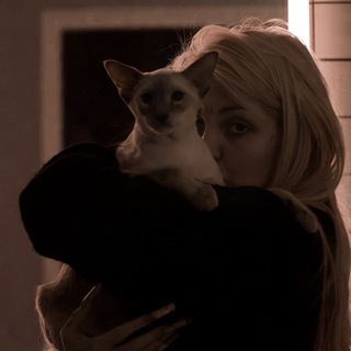 Сломай меня.