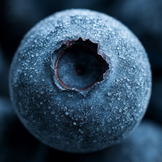 Артём Николаев ❄️ ЯГОДЫ