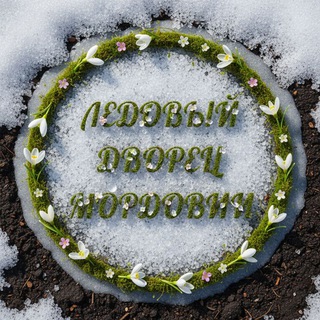 Ледовый дворец Мордовии