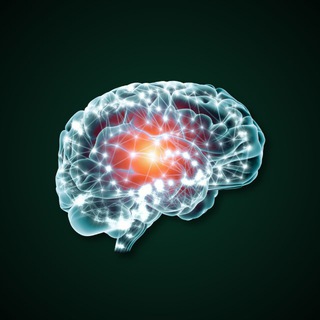 НЕЙРОСЕТИ | ОБУЧЕНИЕ