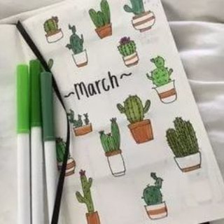 🌵𝙸𝚍𝚎𝚒 𝚍𝚕𝚢𝚊 𝙻𝙳 🍀🌵