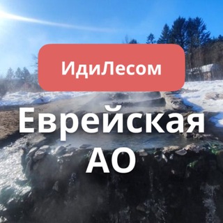 ИдиЛесом Еврейская АО путешествия